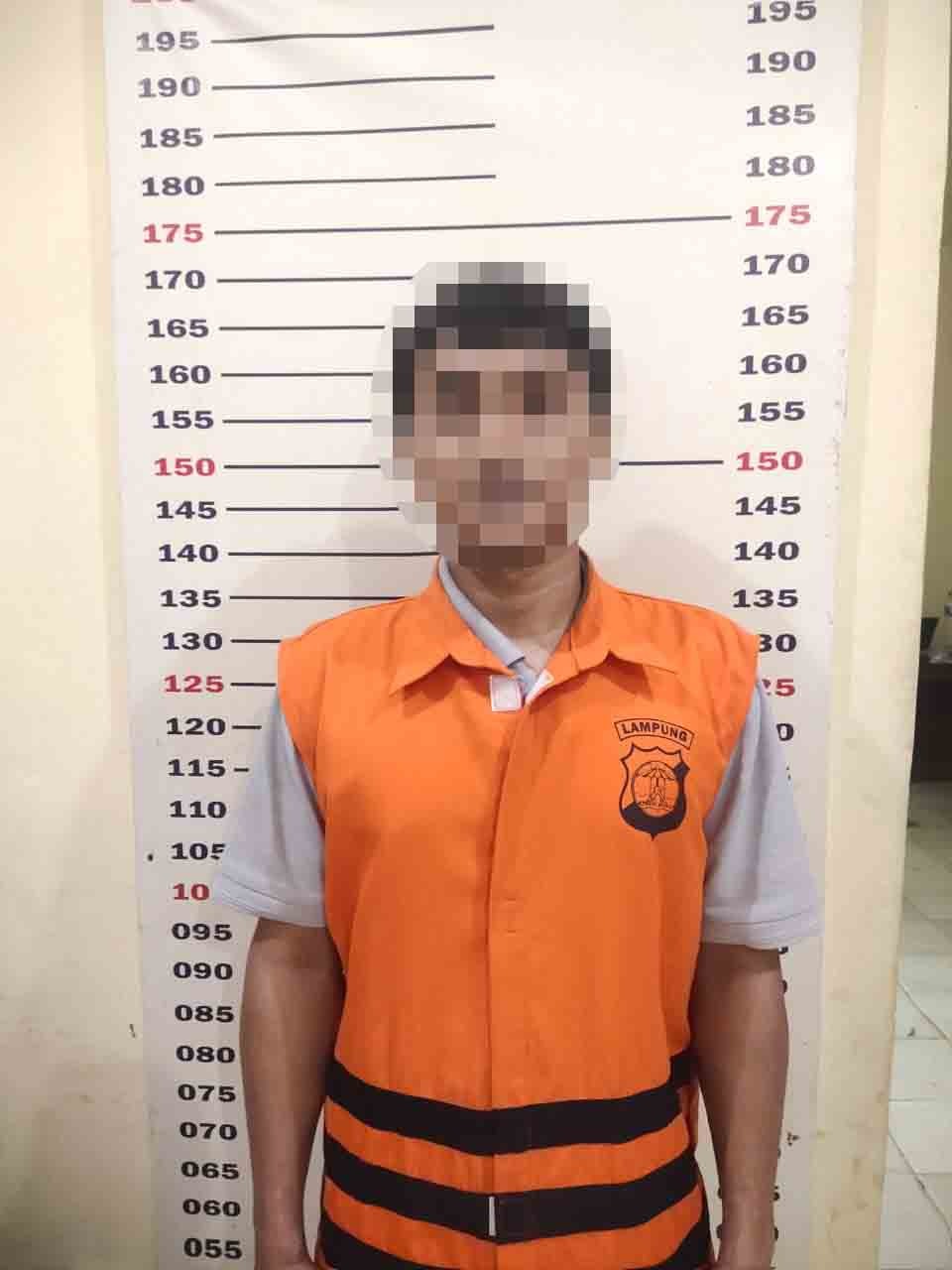 WhatsApp Image 2025-06-19 at 15.42.19_53e2c7ef