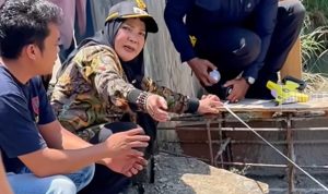 Screenshot_20251104_112430_Instagram