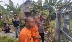 WhatsApp Image 2025-11-06 at 23.25.20_38b1c049