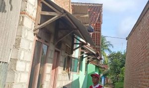 WhatsApp Image 2025-11-15 at 16.36.50_d8ab459b