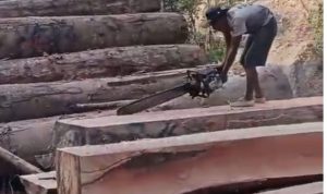 IMG-20251209-WA0068(1)