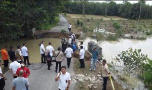 WhatsApp Image 2025-12-11 at 07.13.40_21acffb8