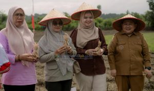 IMG-20260525-WA0056