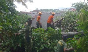 IMG-20260606-WA0100