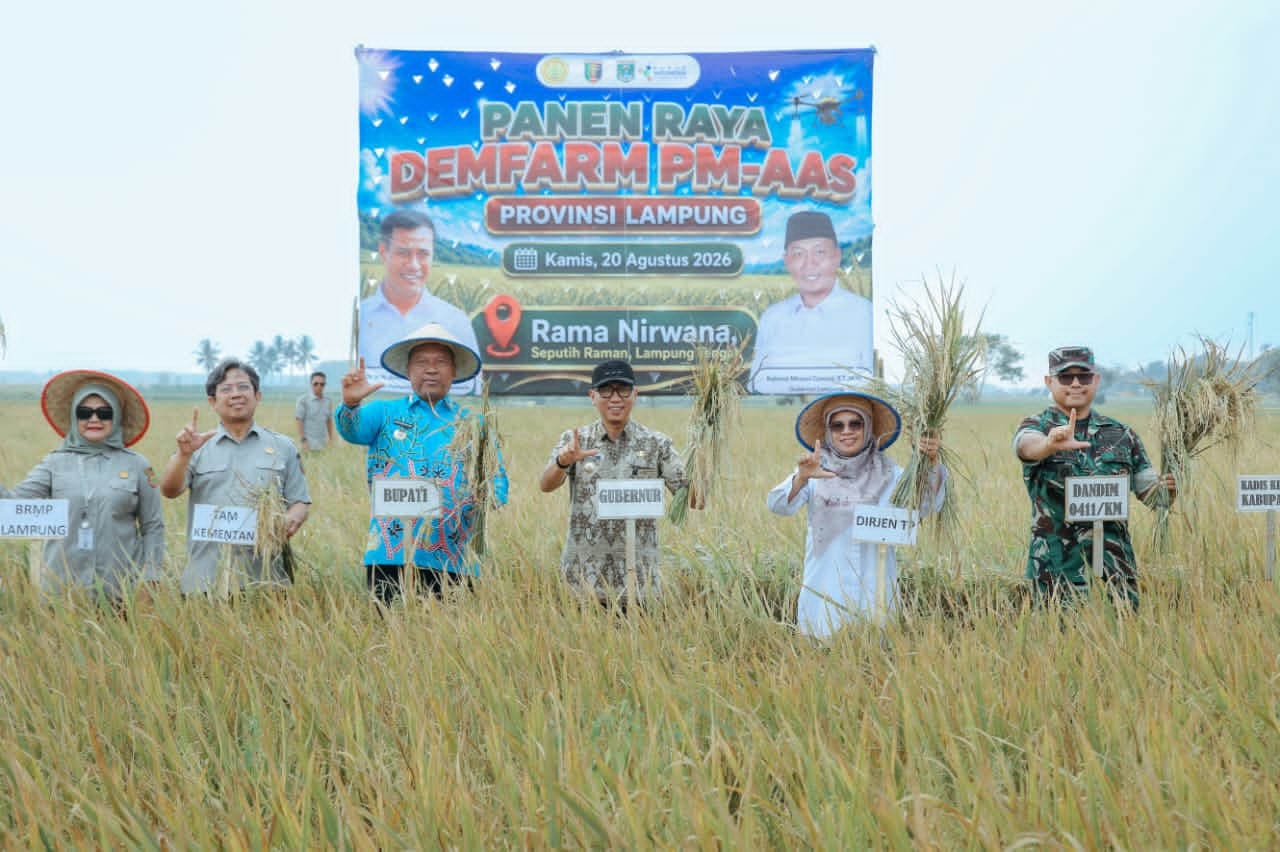 IMG-20260820-WA0151